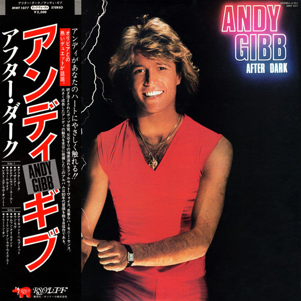 Andy Gibb / After Dark LP